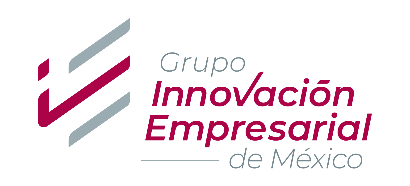 Grupo Innovación Empresarial de México